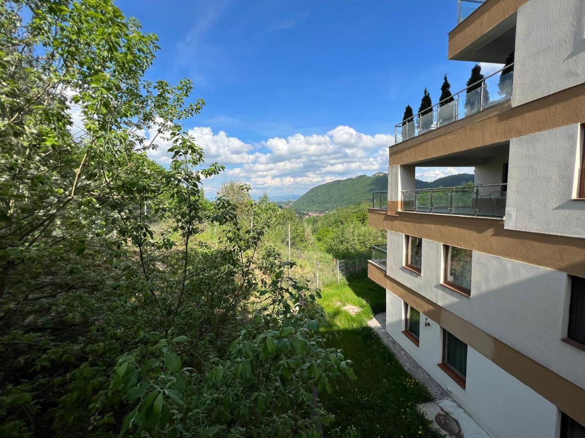 Coroni Studio With Jacuzzi Braşov Eksteriør billede